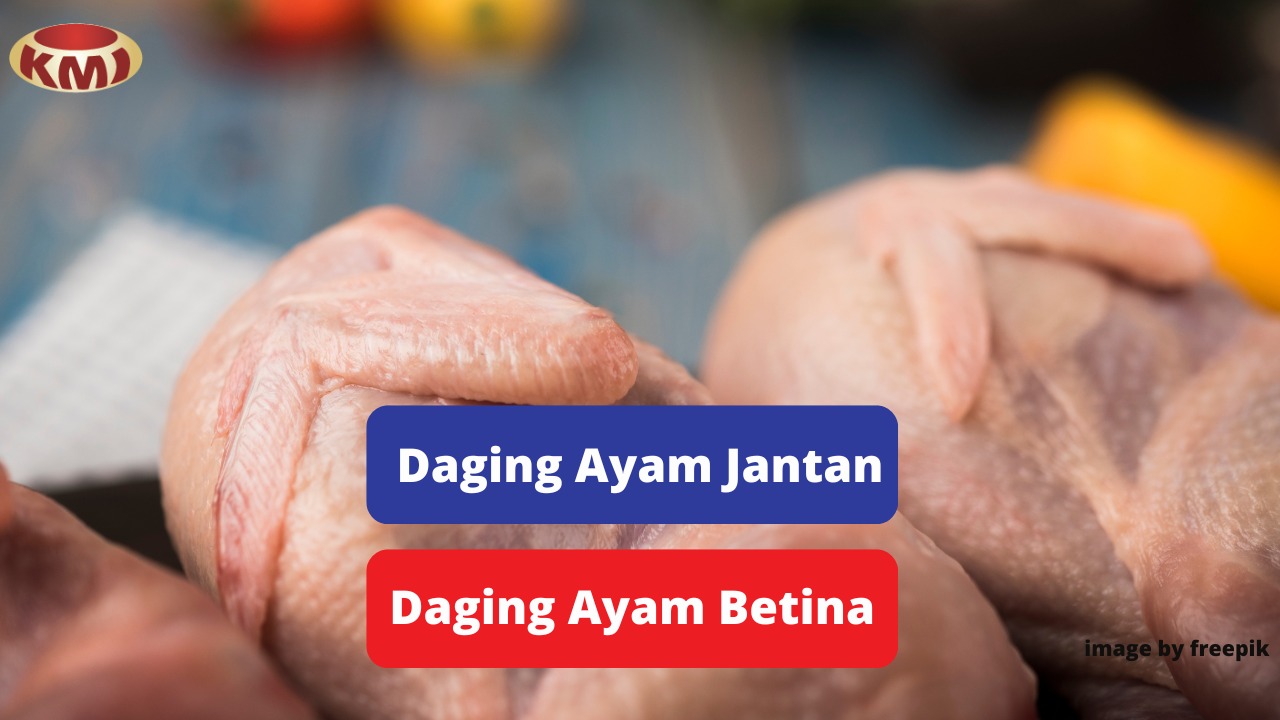 Tandai Perbedan Daging Ayam Jantan dan Betina